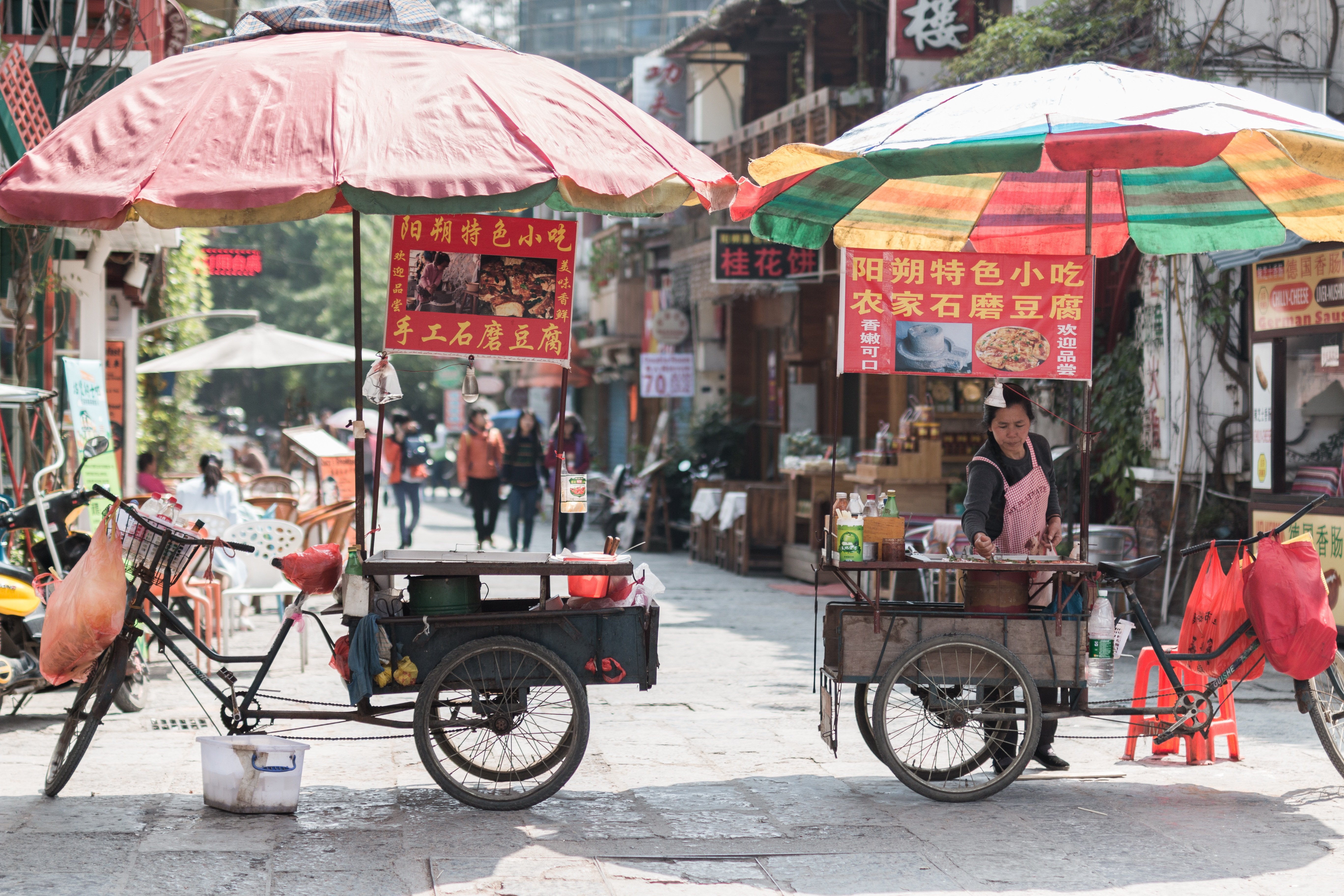 Tour de 14 días por China Sensaciones Auténticas - Fín Cantón salida los martes desde Pekín