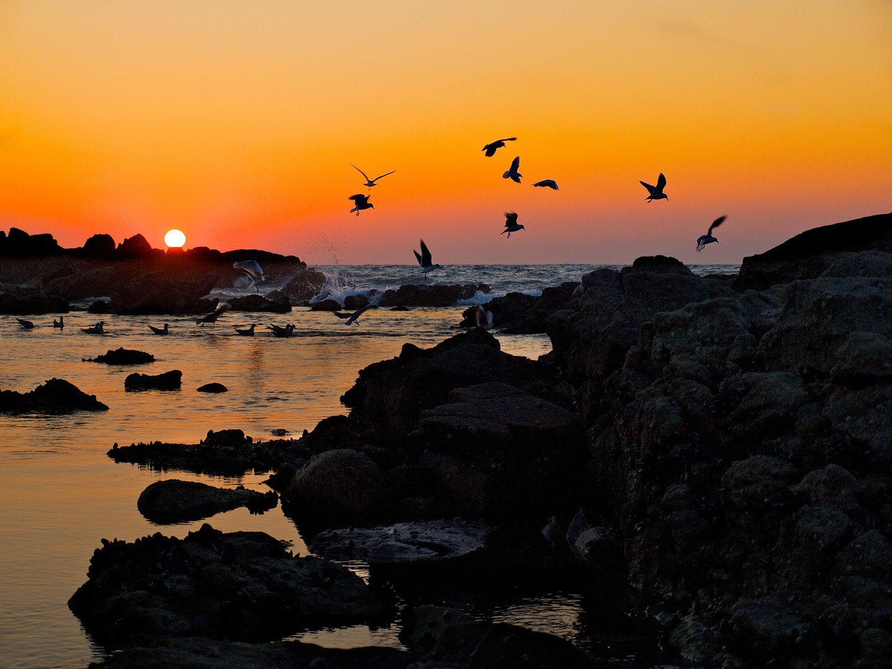 Tour 6 días por Galicia Terra Única y norte de Portugal, salida desde Varias comunidades