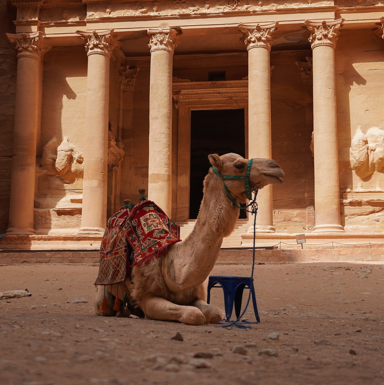 Tour de 8 días y 7 noches Nabateos y Mar Rojo