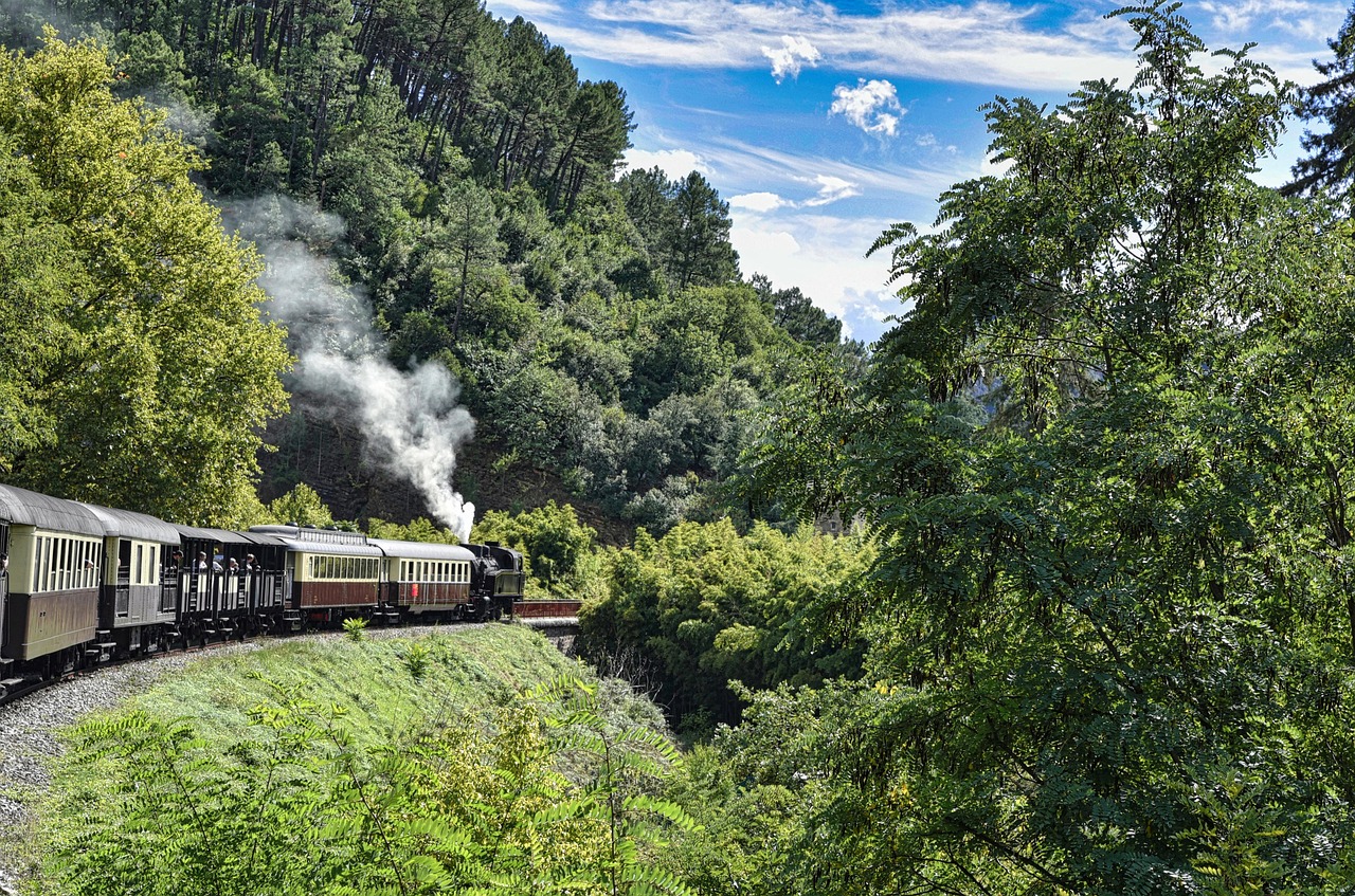 Tour de 8 dias con las Locomotoras a Vapor por Transilvania desde Bucarest